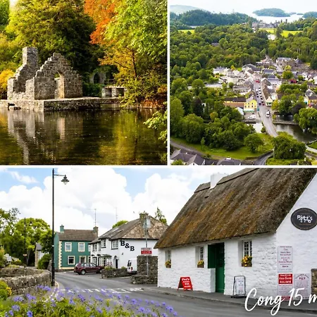 Spacious Double In Town, Galway Bed & Breakfast Headford